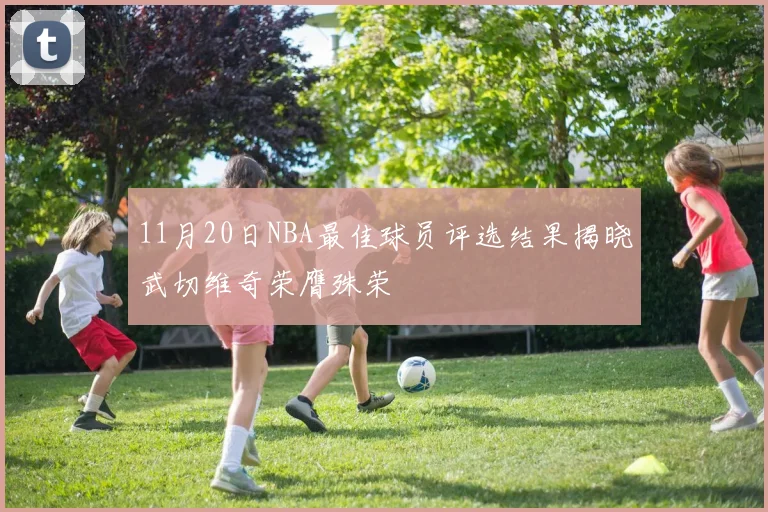 11月20日NBA最佳球员评选结果揭晓武切维奇荣膺殊荣
